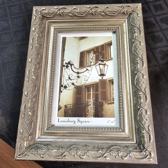 Louisburg Square Flower/Vines Frame - Picture 1 of 2